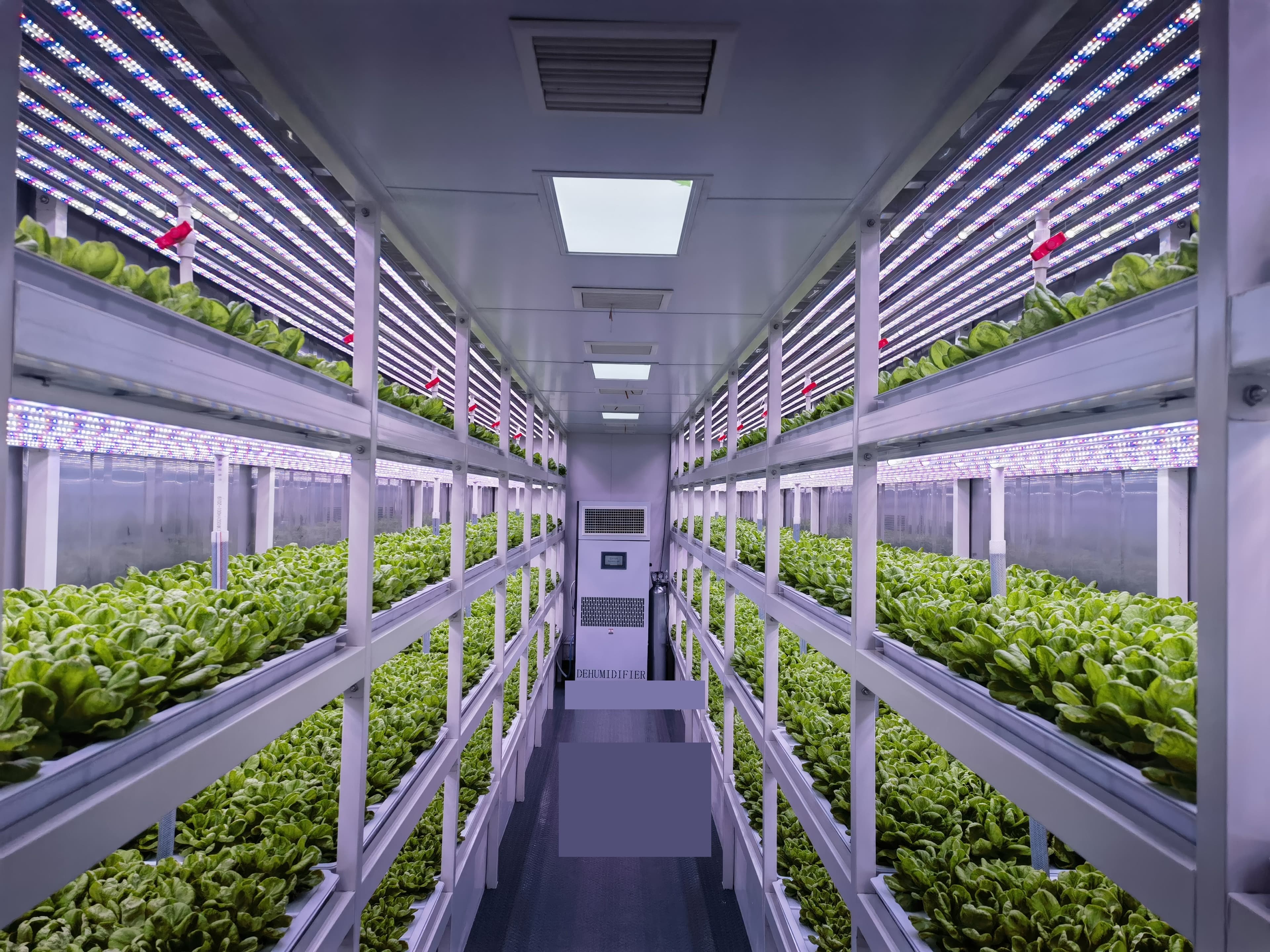 Protected Agriculture